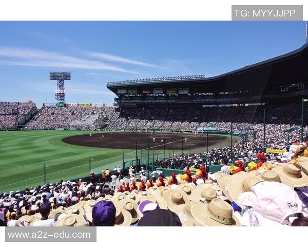 青春热血在甲子园绽放实况力量棒球决赛激战正酣